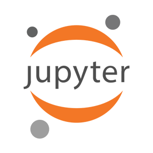 Jupyter Run Notebook Section